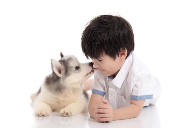Yalan şirin Asyalı çocuk ve Sibirya husky köpek