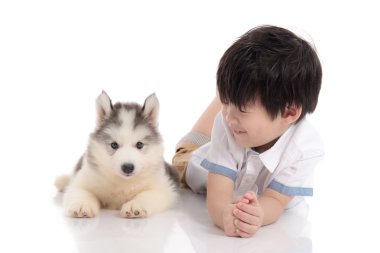 Yalan şirin Asyalı çocuk ve Sibirya husky köpek