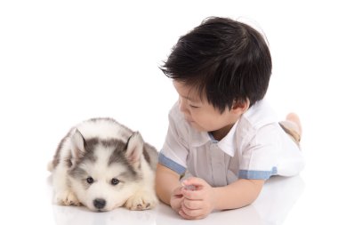 Yalan şirin Asyalı çocuk ve Sibirya husky köpek