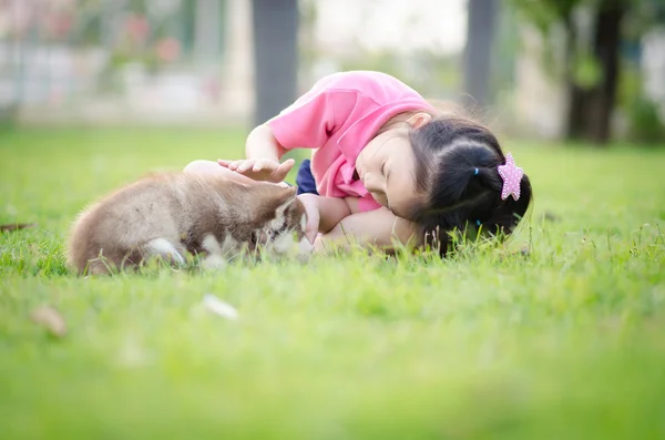 Bir köpek yavrusu ile yeşil çimenlerin üzerinde oynarken güzel Asyalı kız — Stok fotoğraf