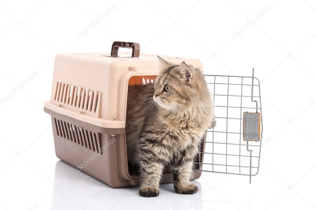 cat ponibcctyc vk pet carrier isolated on white background