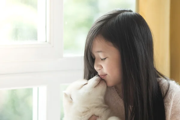 Poco asiática chica besos un siberiano husky cachorro — Foto de Stock