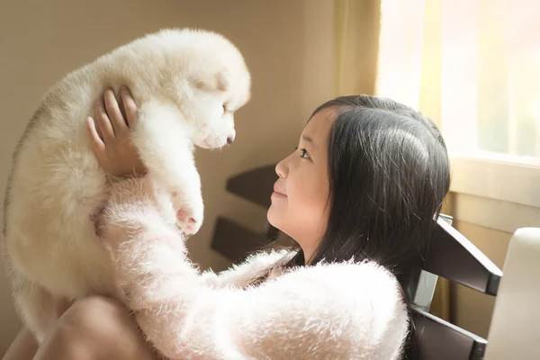 Poco asiático jugando con siberiano husky cachorros — Foto de Stock