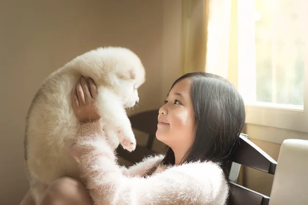 Little asian playing with siberian husky puppies