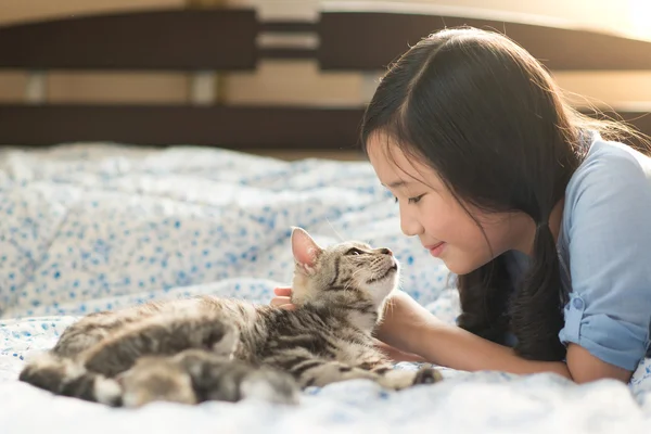 Krásná Asijská dívka líbání americký shorthair kočky — Stock fotografie