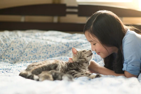 Mooie Aziatische meisje kussen Amerikaanse korthaar kat — Stockfoto