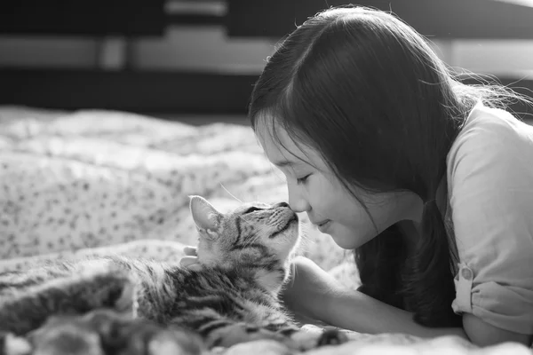 Beautiful asian girl kissing american shorthair cat — Stock Photo, Image