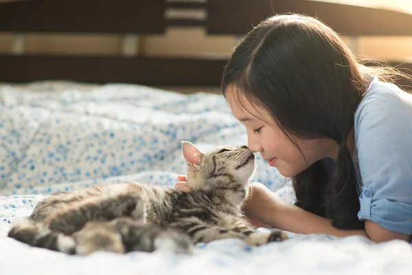 Linda menina asiática beijando americano shorthair gato — Fotografia de Stock