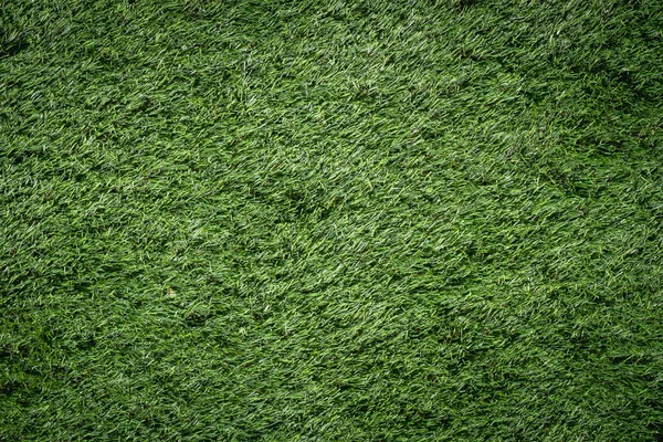 Erba verde su terreno battuta — Foto Stock