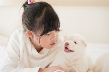 asian kız beyaz Sibirya husky köpek yatakta yatan