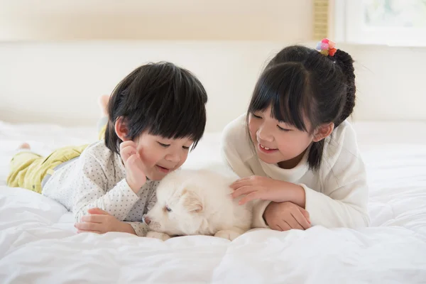 çocuk ve köpek yavrusu eğleniyor yatakta yatan