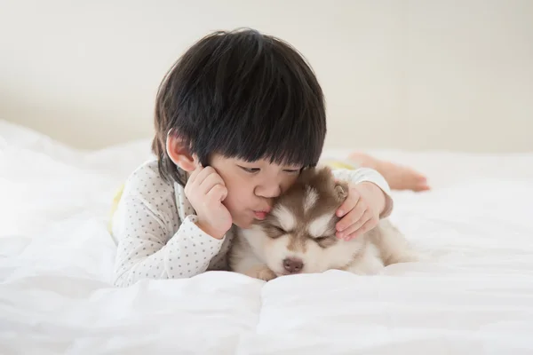 Asiatisches Kind küsst einen sibirischen Husky Welpen auf dem Bett — Stockfoto