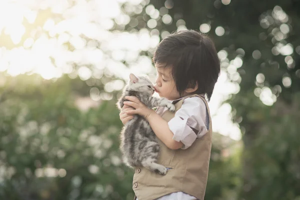 Азиатский мальчик целует американского короткого котенка — стоковое фото