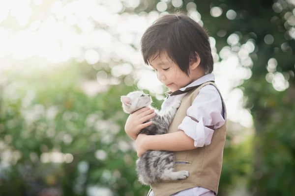 Asiático menino segurando americano cabelo curto gatinho — Fotografia de Stock