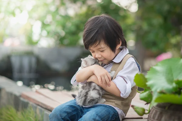 Азиатский мальчик держит американского короткого котенка — стоковое фото