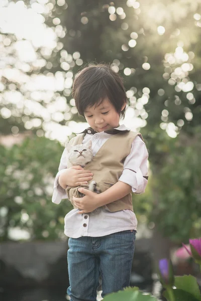 Asiático chico holding american corto cabello gatito —  Fotos de Stock