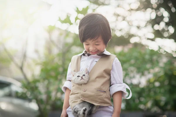 Aziatisch bedrijf Amerikaanse kort haar kitten — Stockfoto