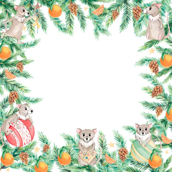Акварельний Різдвяний Банер Зеленими Ялиновими Гілками Ялиновими Конусами Милою Мишкою — стокове фото