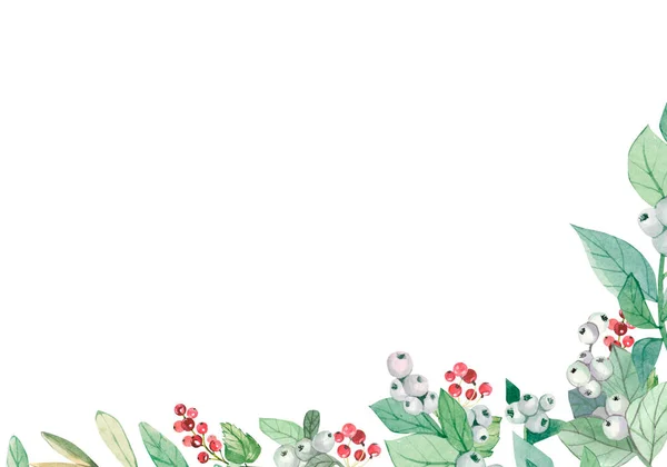Akvarell Téli Banner Ágak Piros Bogyók Virágos Botanikai Tervezés Illusztráció — Stock Fotó