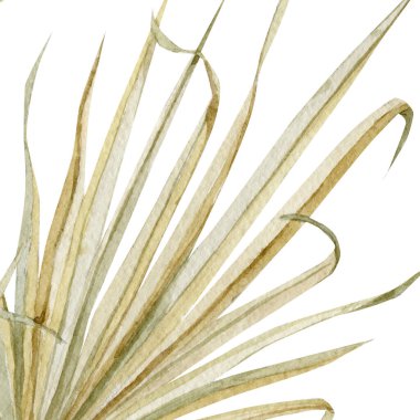 Suluboya tropikal çiçek kartı. Glomour altın rengi moda boho tarzını terk ediyor. Düğün ihlali ve kartpostal için geçmişe dönük unsurlar.