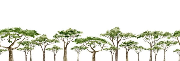 Akwarela Afrykańskie Drzewa Horazontal Sztandar Ręcznie Rysowane Ilustracje Południowych Drzew — Zdjęcie stockowe