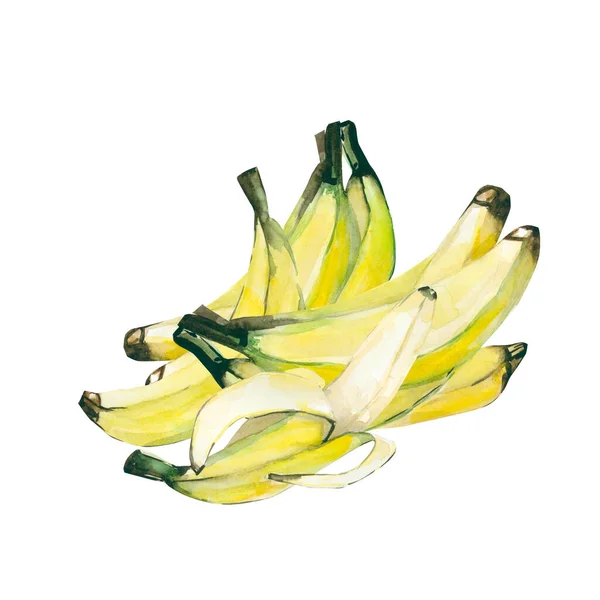 Akwarela Letnie Owoce Banan Ręcznie Malowane Tropikalne Ilustracje Szablonu Wzory — Zdjęcie stockowe