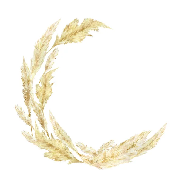 Suluboya yabani çiçek çelengi. Boho tasarımı ve modern logo tarzı Pampas graas. Panikle Cortaderia selloana Güney Amerika, tüylü çiçek başları düğün davetine hazırlanıyor bebek partisi.