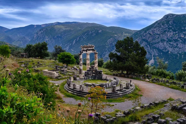 Ruiny Tholos starożytnej greckiej bogini Ateny Pronai w Delphi, Grecja. Lista światowego dziedzictwa UNESCO. Powszechny strzał w dół — Zdjęcie stockowe