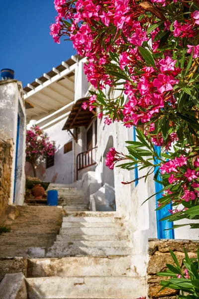 Toegang tot het traditionele witgekalkte Griekse eilandhuis. Oude stenen trap, blauwe deuren, roze bougainvillea. Mediterrane levensstijl. Mykonos, Griekenland. — Stockfoto