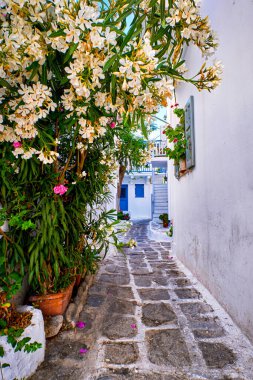Geleneksel beyaz boyalı Yunan ada kasabasında dar bir yol. Çakıl taşı döşeli, dar bir sokak, beyaz begonviller. Akdeniz yaşam tarzı. Mykonos, Yunanistan