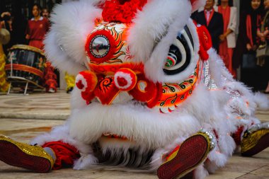 9 Şubat 2024 - Lizbon, Portekiz: Beyaz Aslan 'ın Yeni Yıl' ı kutlamak için geleneksel Çin aslan dansı gösterisinde Avrupa 'nın tarihi meydanında dinlenirken yakın görüntüsü. Aslan dansı izleyicilere şans, servet ve refah getirir.