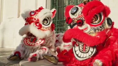 9 Şubat 2024 - Lizbon, Portekiz: Güneşli bir günde düzenlenen Ay Yeni Yılı kutlamaları sırasında Avrupa açıkhava meydanında dans ettikten sonra geleneksel Çin Kırmızı ve Beyaz Aslanları ile fotoğraf çektirmek için poz veren seyirci. Aslan dansı şans, servet ve refah getirir.