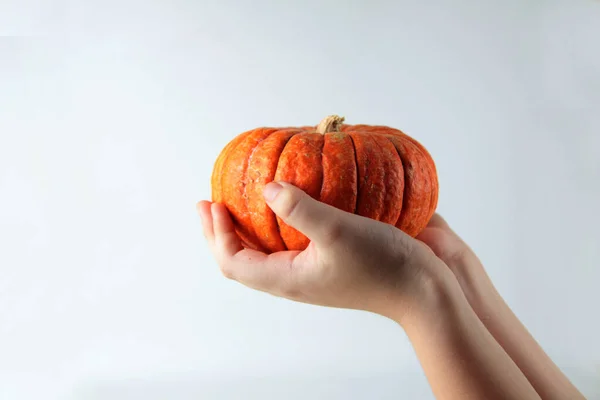 Mani Bambini Con Zucca Isolata Sfondo Bianco Immagine Contiene Spazio — Foto Stock