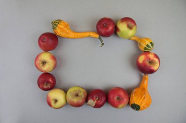 Gri arka planda balkabağı ve elma çerçevesi. Sonbahar konsepti. Resim kopyalama alanı içeriyor