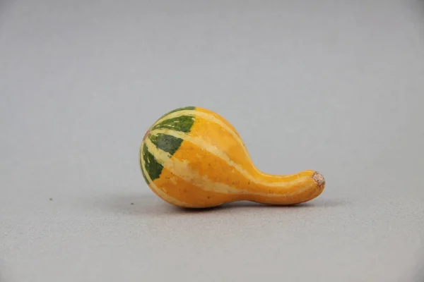 Orange Kürbis Isoliert Auf Grauem Hintergrund Flach Lag Hässliches Ernährungskonzept — Stockfoto