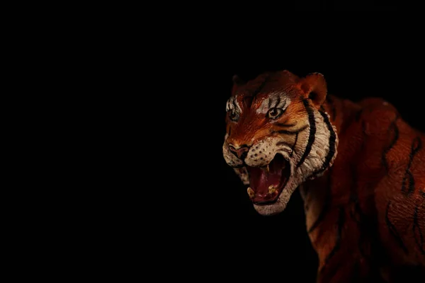 黒の背景に隔離された虎の肖像画を閉じます 環境概念です 水平画像 画像にはコピースペースがあります — ストック写真