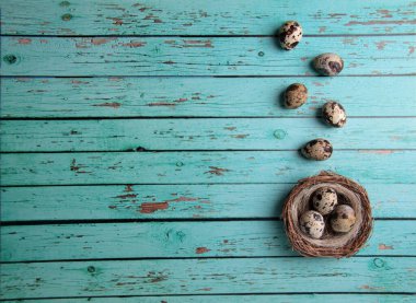 Mavi ahşap arka planda bıldırcın yumurtaları ve bir yuva. Resim kopyalama alanı içeriyor