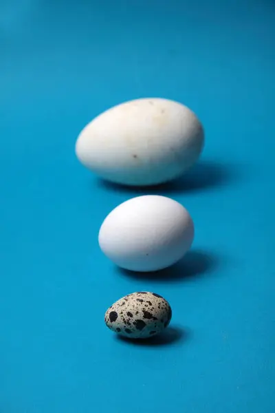 Tres Huevos Fila Aislados Sobre Fondo Azul Imagen Vertical Imagen — Foto de Stock