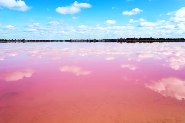 Lac salé rose en Australie occidentale — Photo