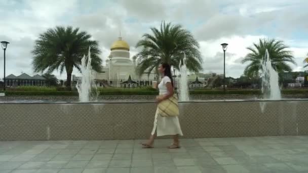 Hermosa Mujer Joven Asiática Con Bolsa Natural Caminando Pavimento Cerca — Vídeo de stock
