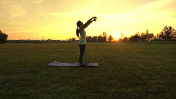 Giovane Donna Che Esercizio Yoga Nel Parco Verde Nel Tempo — Video Stock