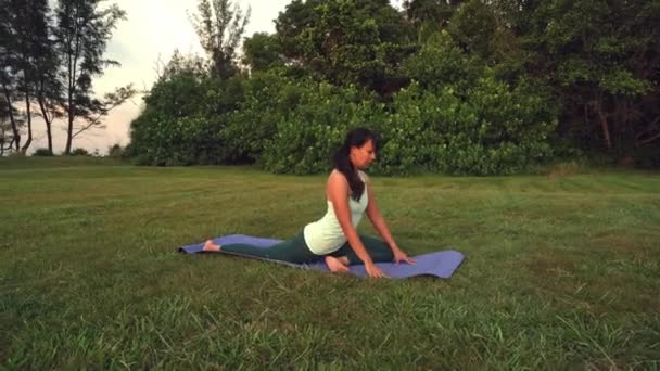 Jeune Femme Faisant Exercice Yoga Dans Parc Vert — Video