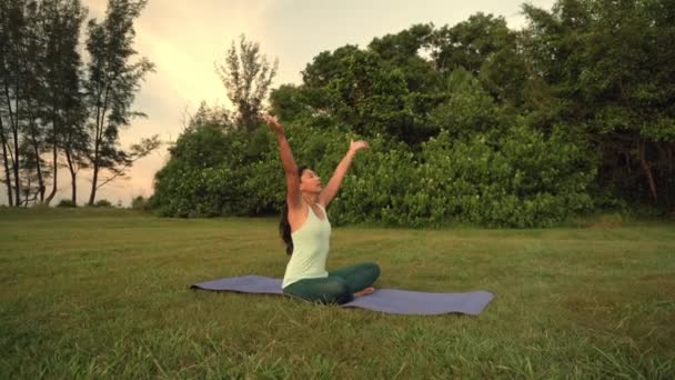 Giovane Donna Che Esercizio Yoga Nel Parco Verde — Video Stock