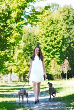 Parkta iki tazı ile genç kız