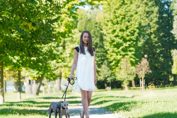 年轻的女孩，在公园里的两只猎犬 — 图库照片