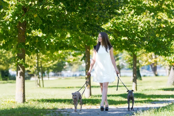 年轻的女孩，在公园里的两只猎犬 — 图库照片