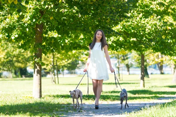 年轻的女孩，在公园里的两只猎犬 — 图库照片