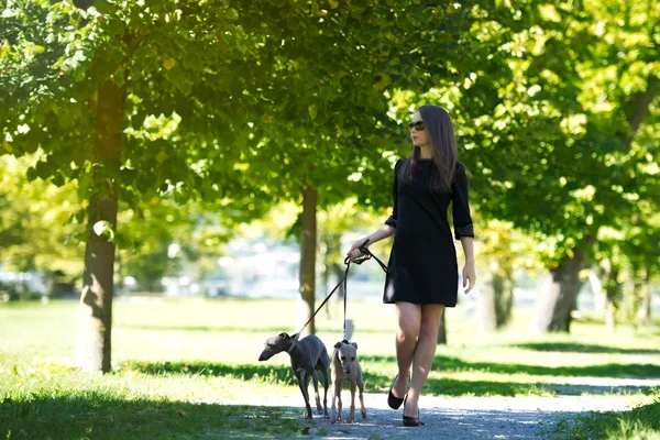 年轻的女孩，在公园里的两只猎犬 — 图库照片