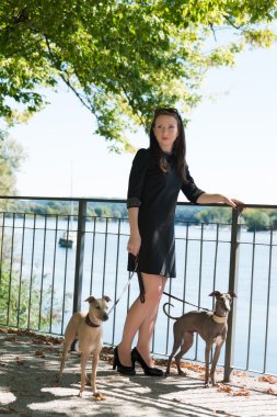 Parkta iki tazı ile genç kız