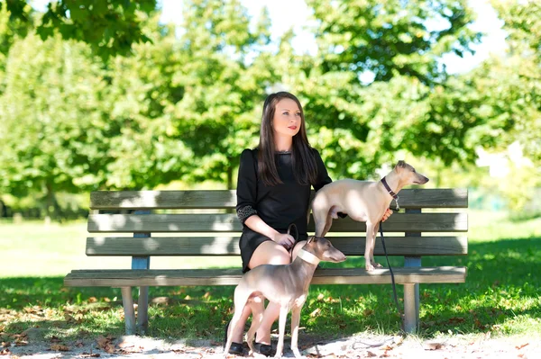 Chica joven con dos galgos en el parque — Foto de Stock